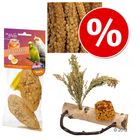 JR Farm Wiosenny pakiet  dla ptaków