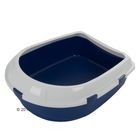 Jumbo Cat Litter Box with Rim