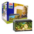 Juwel Aquarium Korall 60