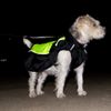 Kabátek pro psy Illume Nite Neon