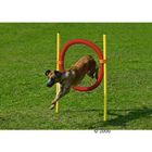 Karlie Agility Reifen-Set