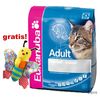 Karma Eukanuba 3 lub 4 kg + zabawka kolorowy motylek gratis!