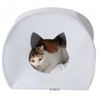 Kattenhol 