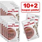 10 + 2 kaupan päälle! 12 x 85 g Royal Canin -pussiruokaa