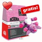 13,5 kg Acana + Frottee Fiocco gratis!