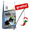 2 kg Bozita Feline + Lenza gioco con pallina Italia gratis!