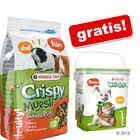 20 kg Crispy Cavia Muesli + gratis voerton