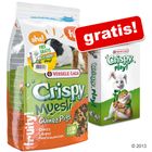 2,75kg Crispy Müsli porcellini d'India + carte gratis!