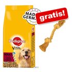 15 kg crocchette Pedigree + corda gioco gratis!