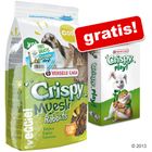 2,75 kg di Crispy Müsli per conigli + carte da gioco gratis!