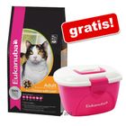 3/4 kg Eukanuba + Beauty Case zdarma