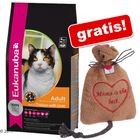 2 kg Eukanuba Katzenfutter + Catnip-Säckchen gratis!