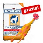 15 kg Exclusion + Pollo giocattolo con squeak gratis!