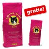 15 + 5 kg gratis! 20 kg Bozita Katty