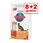 8 + 2 kg gratis! 10 kg Hill's Science Plan