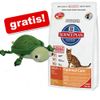 10 kg Hill's droogvoer + Kattenspeelgoed Schildpad GRATIS!