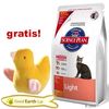 1,5 kg Hill's Feline Adult Light Kurczak + zabawka gratis!