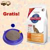 10 kg Hill's Feline + kattenspeelgoed Rotondo GRATIS!