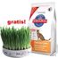 5/4 kg Hill's Feline + Keramikschale mit Katzengras gratis! - 5/4 kg Hill's Feline + Keramikschale mit Katzengras gratis!