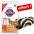 10 kg Hill's Feline + tunnel à bruissement offert!