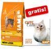 1,5 kg Iams + ¡Calendario Cute Cats 2012 gratis!
