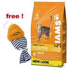 3 kg Iams + Catnip Chick Goodie Bag Free!