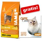 1,5 kg Iams + Cute Cats Kalender 2012 gratis!