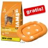 15/10 kg Iams Trockenfutter + Katzenbett orange gratis!