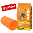 10/15 kg Iams + tunel grátis!