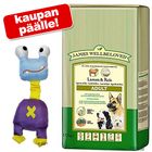 10 kg James Wellbeloved + Elastic-hirviölelu kaupan päälle!