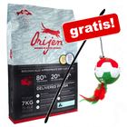 2,5 kg Orijen + Lenza gioco Italia gratis!