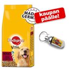 15 / 13 kg Pedigree + osoiteriipus kaupan päälle!