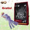 15 kg Pro Plan hondenvoer + Kong Snugga Wubba GRATIS!