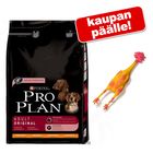 14 kg Pro Plan -koiranruokaa + lateksikana kaupan päälle!