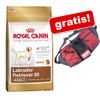 12 kg Royal Canin Breed + Marsupio gratis!