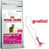 10 kg Royal Canin Feline + Canna da pesca con palla gratis!