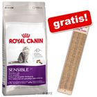 10 kg Royal Canin Feline + graffiatoio gratis!