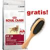 10 kg Royal Canin Feline + Spazzola ovale doppia  gratis!