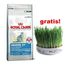 10kg Royal Canin kattenvoer + keramiekschaal GRATIS! - 10kg Royal Canin kattenvoer + keramiekschaal GRATIS!