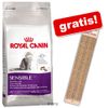 10 kg Royal Canin + Kratzbrett gratis!