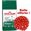 4 kg Royal Canin Size + balle hérisson colorée offerte