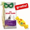 10 kg Royal Canin + zabawka Karmelek gratis!