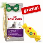 10 kg Royal Canin + zabawka Karmelek gratis!