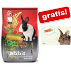 10 kg Russel Rabbit Original + Tavoletta colazione gratis!