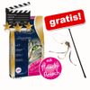 2 kg Sanabelle + Spielangel Sternchen gratis!