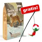 6,8 kg Taste of the Wild + Lenza gioco con pallina gratis!