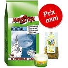 Kit bien-être pour oiseaux