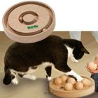 Kitty Brain Train 2in1 Cat Toy