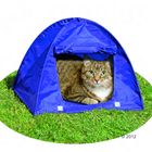 Kitty Camp -kissanteltta