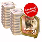 Kleines Sparpaket Catessy Schälchen 16 x 100 g
